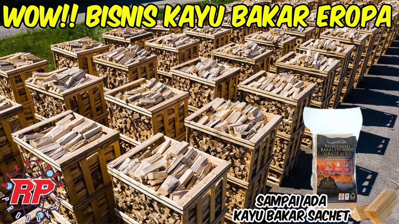 BEGINI CARA EROPA BISNIS KAYU BAKAR PREMIUM | ROSES LENGKAP PRODUKSI KAYU BAKAR PREMIUM