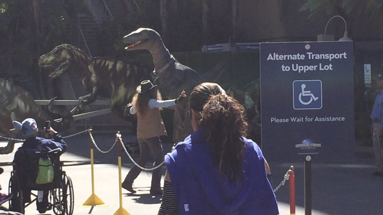 Raptor experience