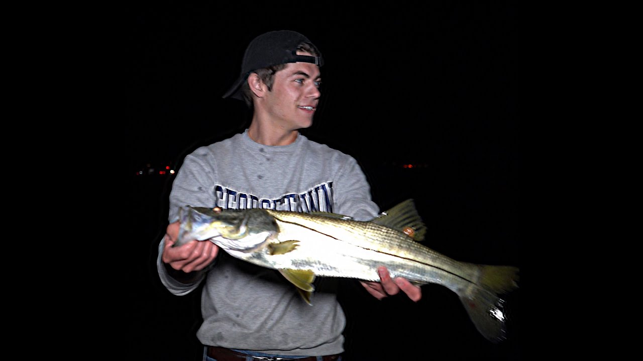 INSHORE Fishing For Snook | At Night Under the Lights