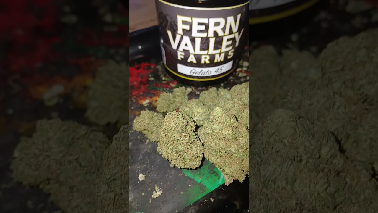 Fern Valley Farms (Gelato 45) thca flower