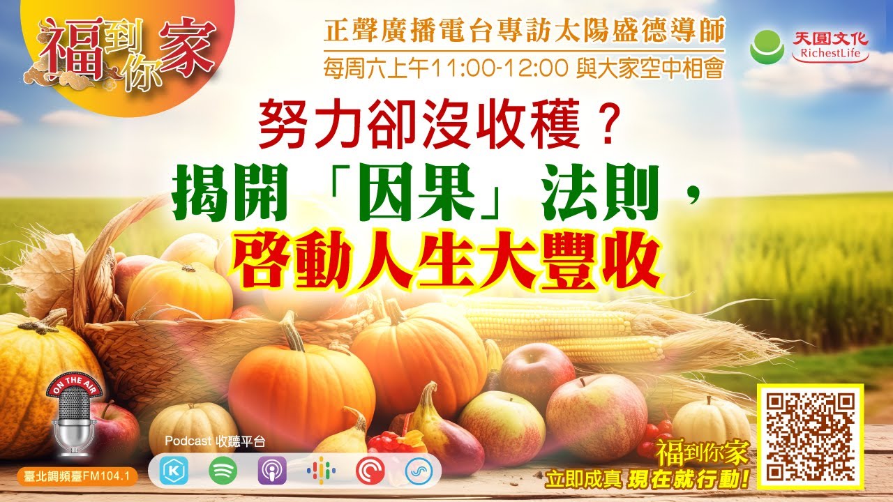 努力卻沒收穫？揭開「因果」法則，啟動人生大豐收｜《超級生命密碼》福到你家 (三百一十一）