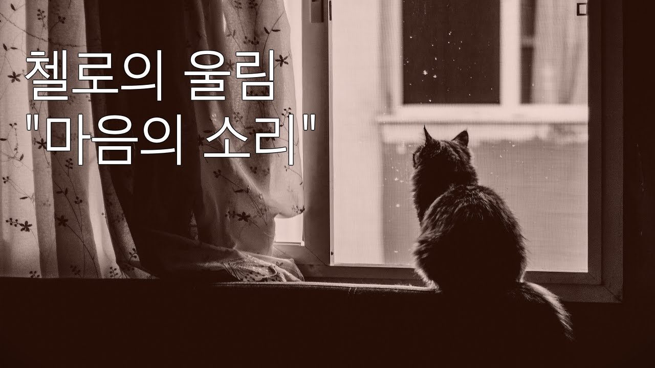 [60만뷰] 🎼중후한 감성의 첼로 연주ㅣClassical Cello BGMㅣ클래식명곡연주ㅣ 편안해지는ㅣ그린슬리브스ㅣ아름다운소리ㅣ행복 음악ㅣ첼로연주곡모음