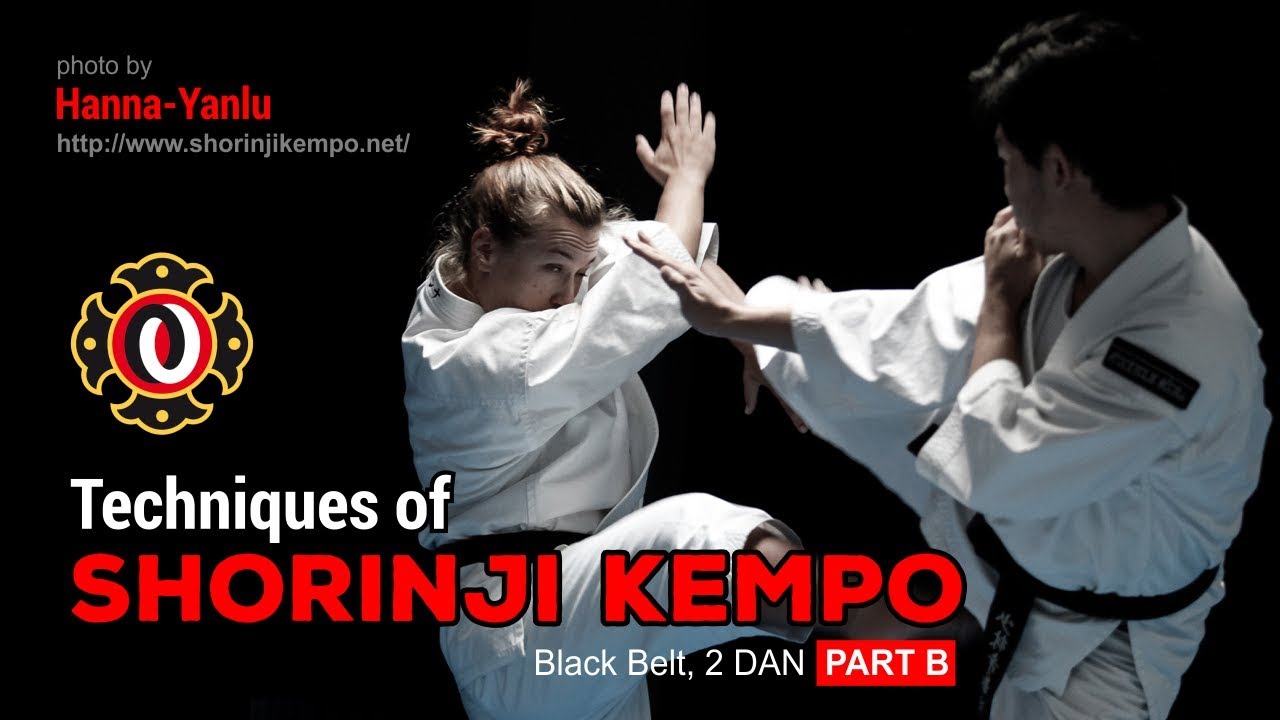 Shorinji Kempo Technical Curriculum, Black Belt  2 DAN part B
