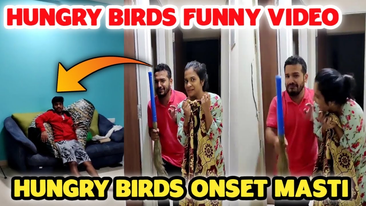 Hungry Birds Onset Masti | Hungry birds bts | Hungry birds inside | Hungry birds Funny