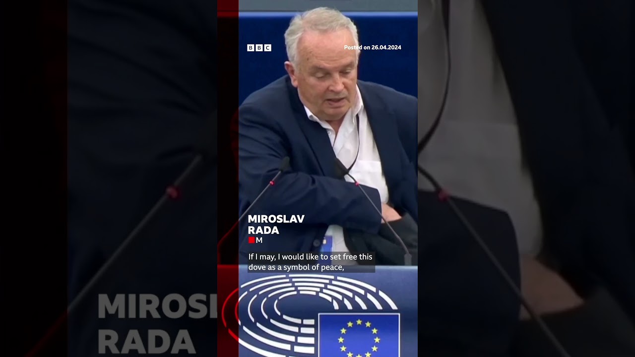 Dove released in European Parliament chamber by Slovakia member as 