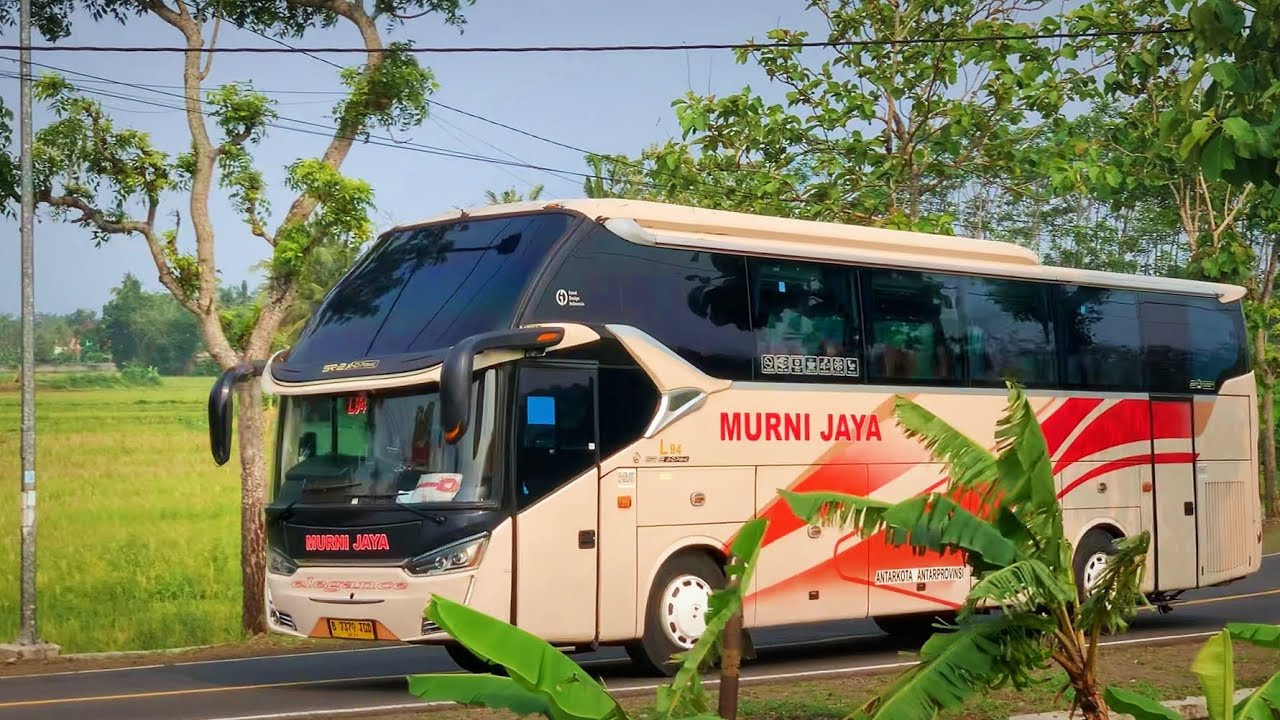 Murni Jaya Berbondong-bondong...❗❗❗✅