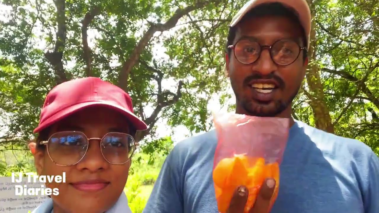 EPISODE 86 | SIGIRIYA VLOG PART - 03 | IJTD❤️