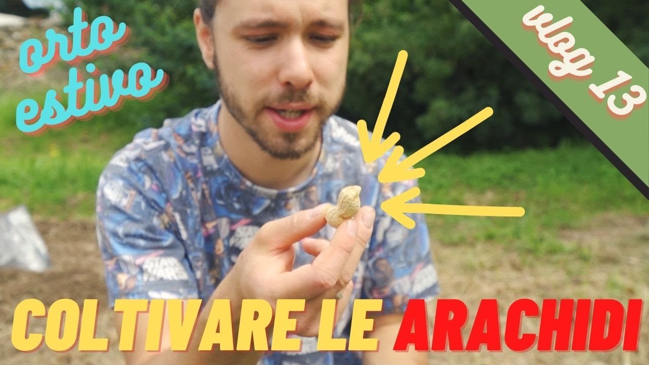 COLTIVARE LE ARACHIDI nell'orto | Ortaggi Strani | [ Vlog 13 ]