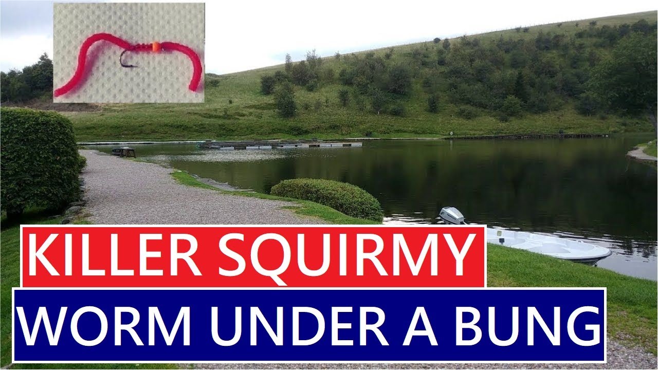 20. Bung Fishing Trout Tips Squirmy Wormy Worm | Pennine Trout Fishery UK