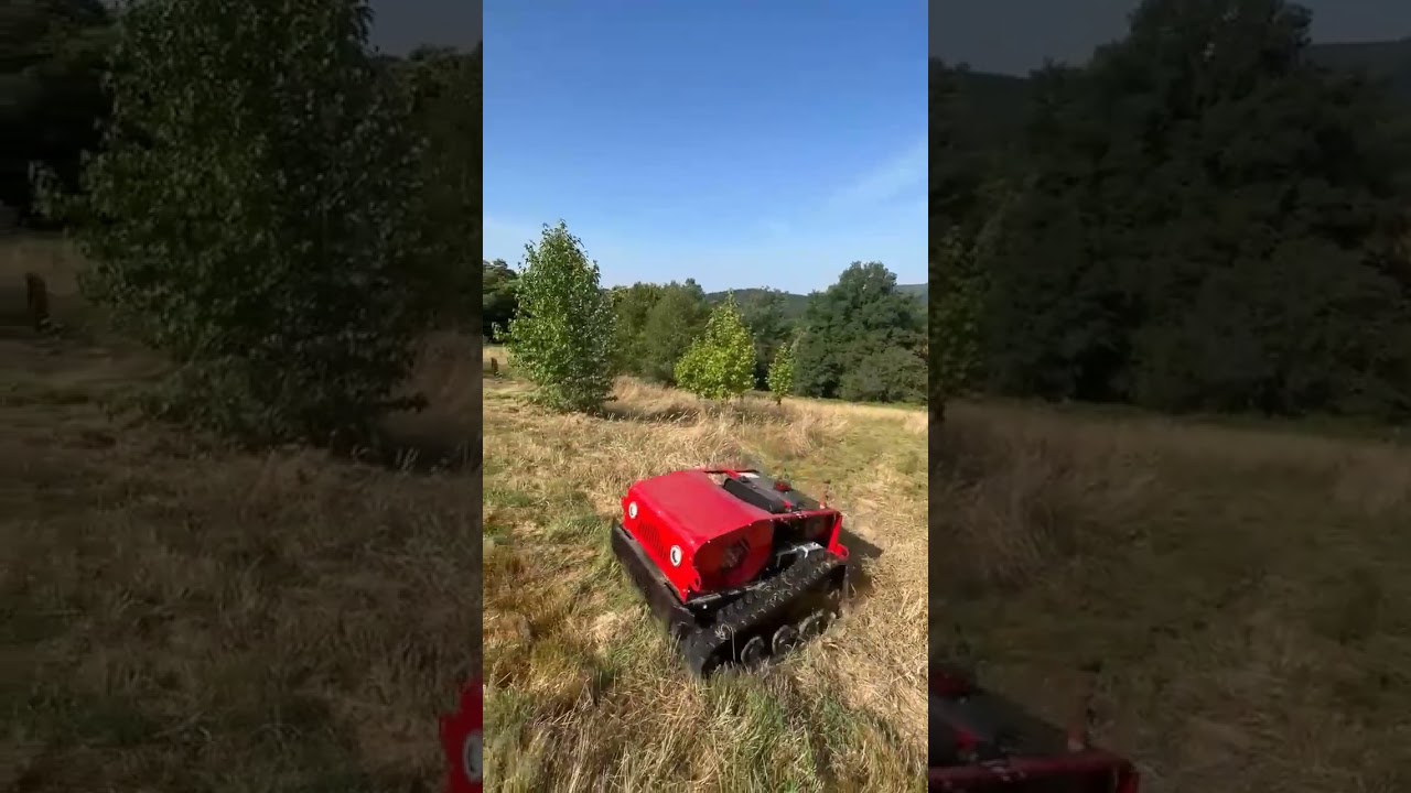 Débroussaillage en pente avec la QRZ800