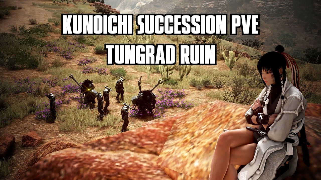 BDO Kunoichi Succession PVE : Tungrad Ruin Lv2 LS 16,923 TL (After PVE buff)