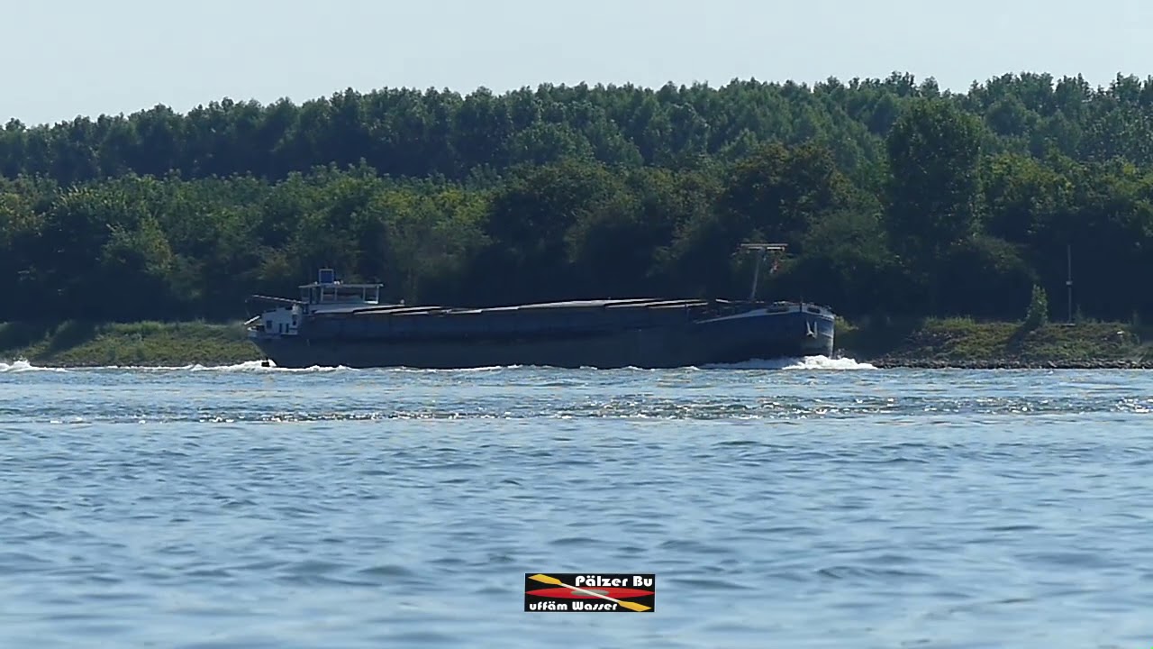 Pälzer Bu mit dem Kajak auf dem Rhein von Lingenfeld über Speyer bis Otterstadt