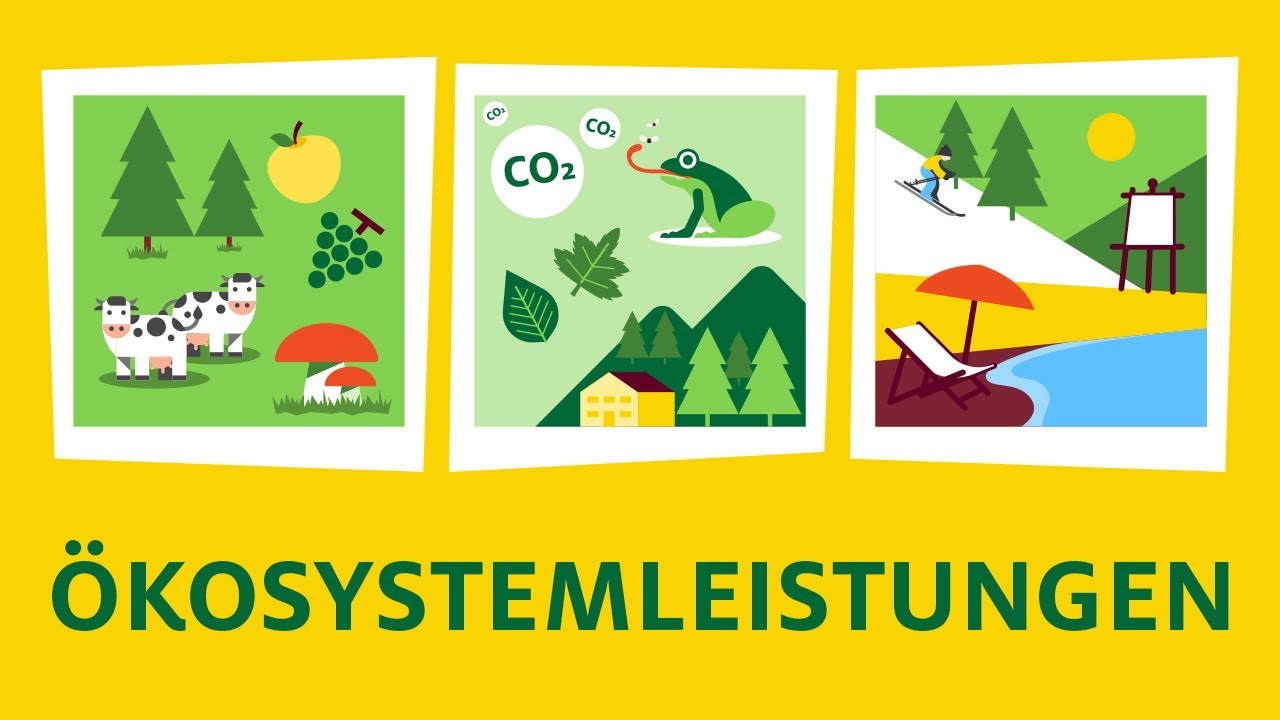 Was sind Ökosystemleistungen?