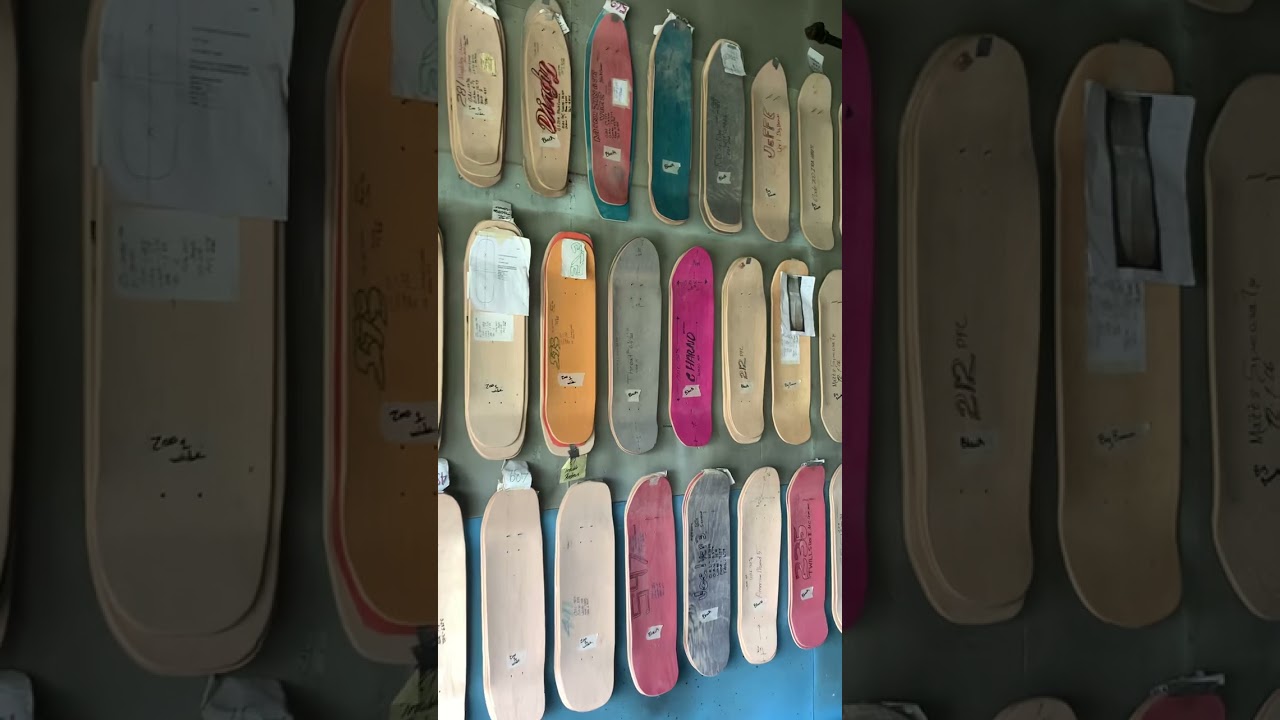 Worlds largest shaped skateboard collection