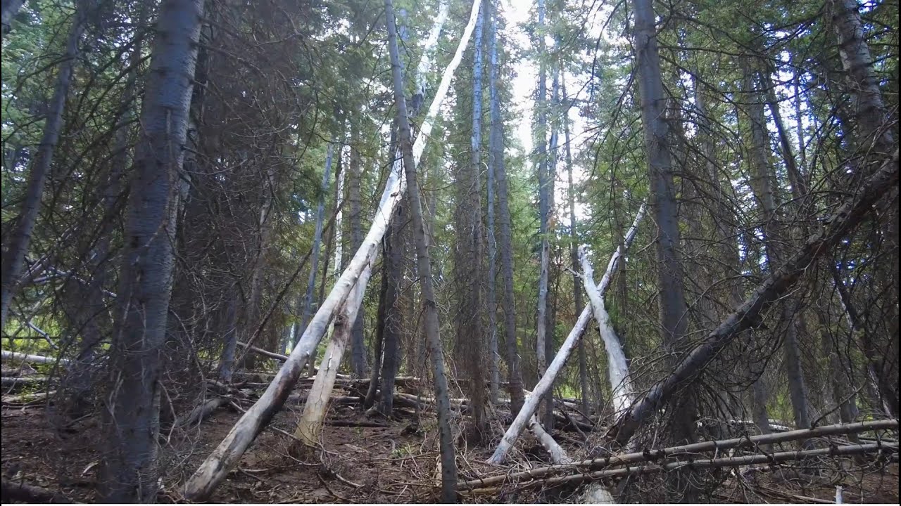Sierpień 2025 Wyprawa na Wasatch w Utah &ndash; Terytorium Sasquatch&oacute;w w G&oacute;rach Głębinowych