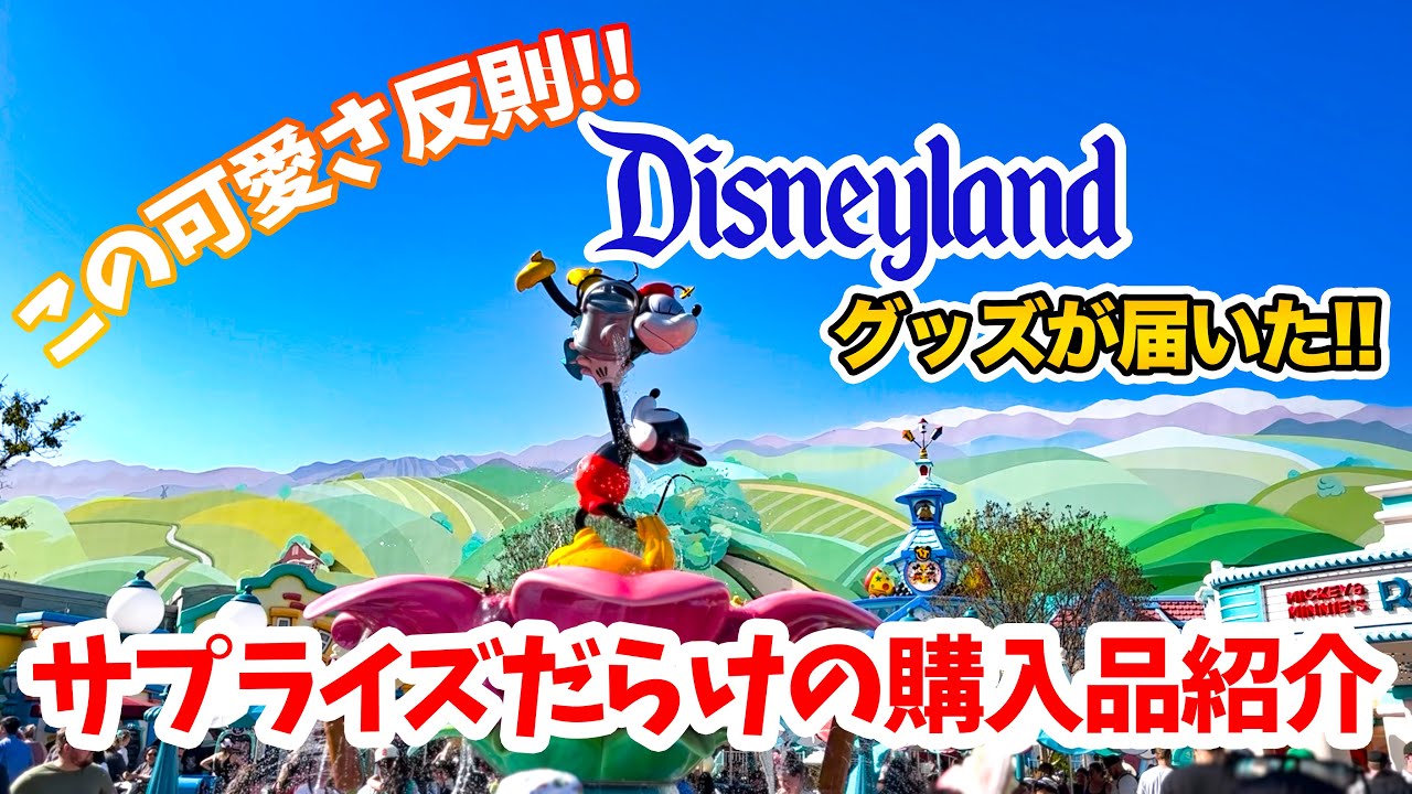 これは反則の可愛さ!! ディズニーグッズ購入品紹介