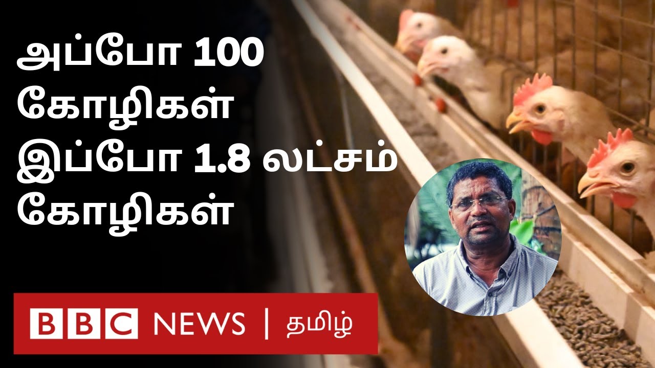 இந்த விவசாயி கோழிகளால் எப்படி பணக்காரர் ஆனார்? | Poultry Business