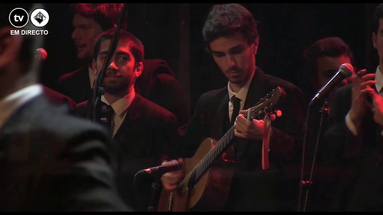 O Instrumental | VIII Lágrimas de Amores | TAFEP