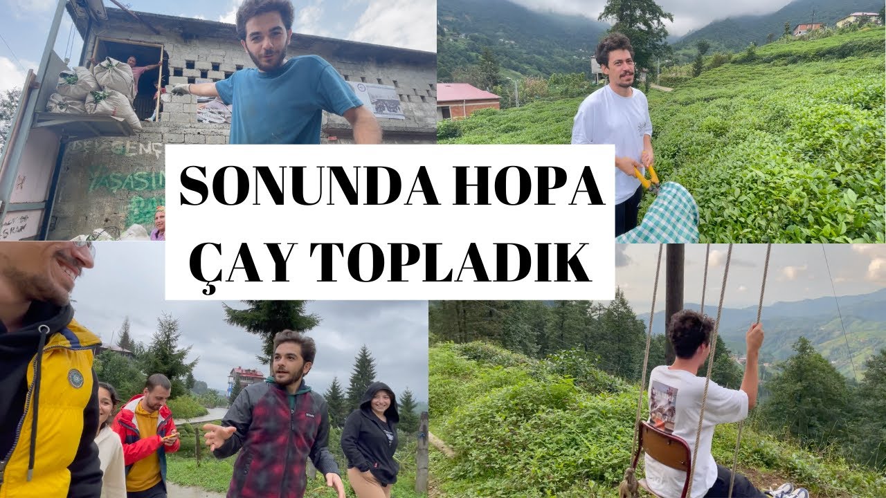 HOPA'DA 4 GÜN | ÇAY TOPLADIK SATTIK | Karadeniz Vlog