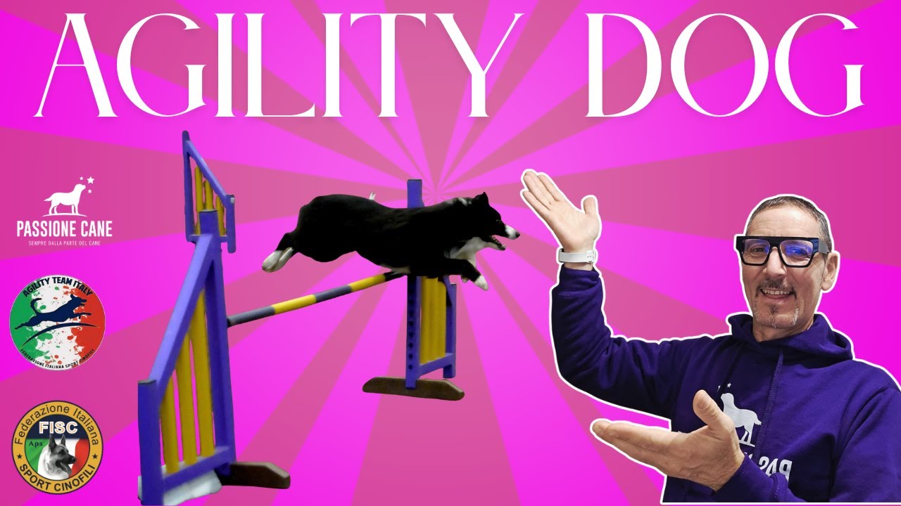 Agility Dog & Paragility Dog: Uno Sport Cinofilo adatto a tutti ed Inclusivo