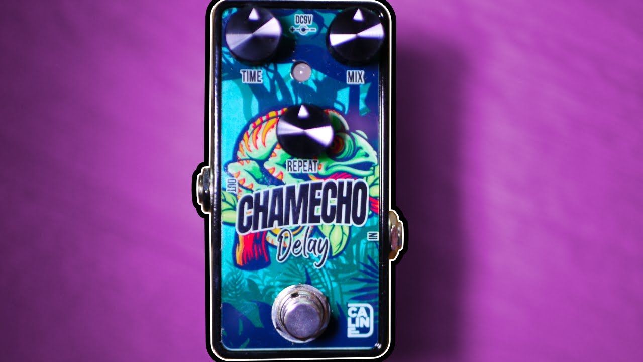 Is it worth $70?! Caline Chamecho Delay