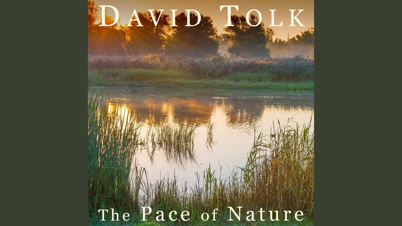 The Pace of Nature