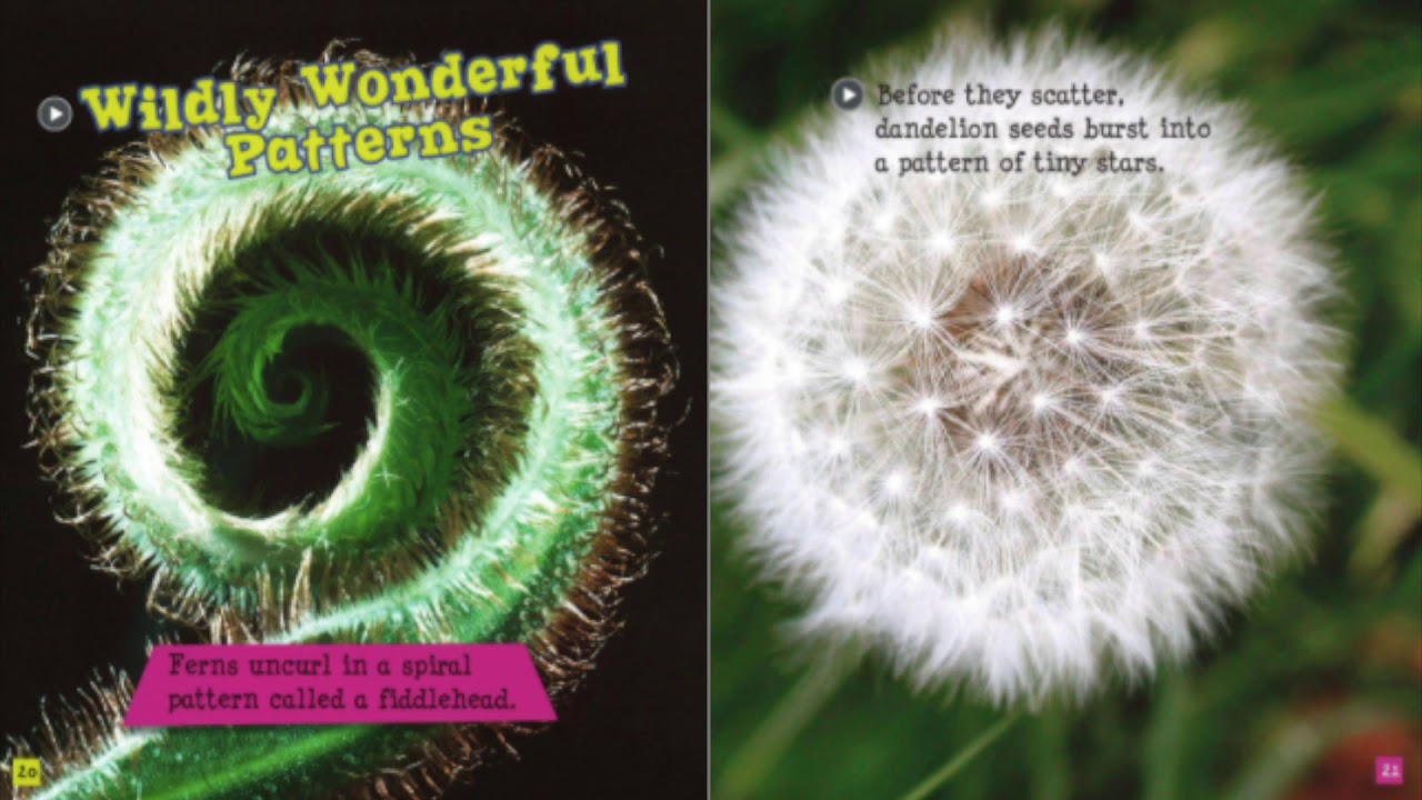 Plant Patterns by: Nathan Olson | Read Aloud for Kids | All About Plants | Ms. Rhone