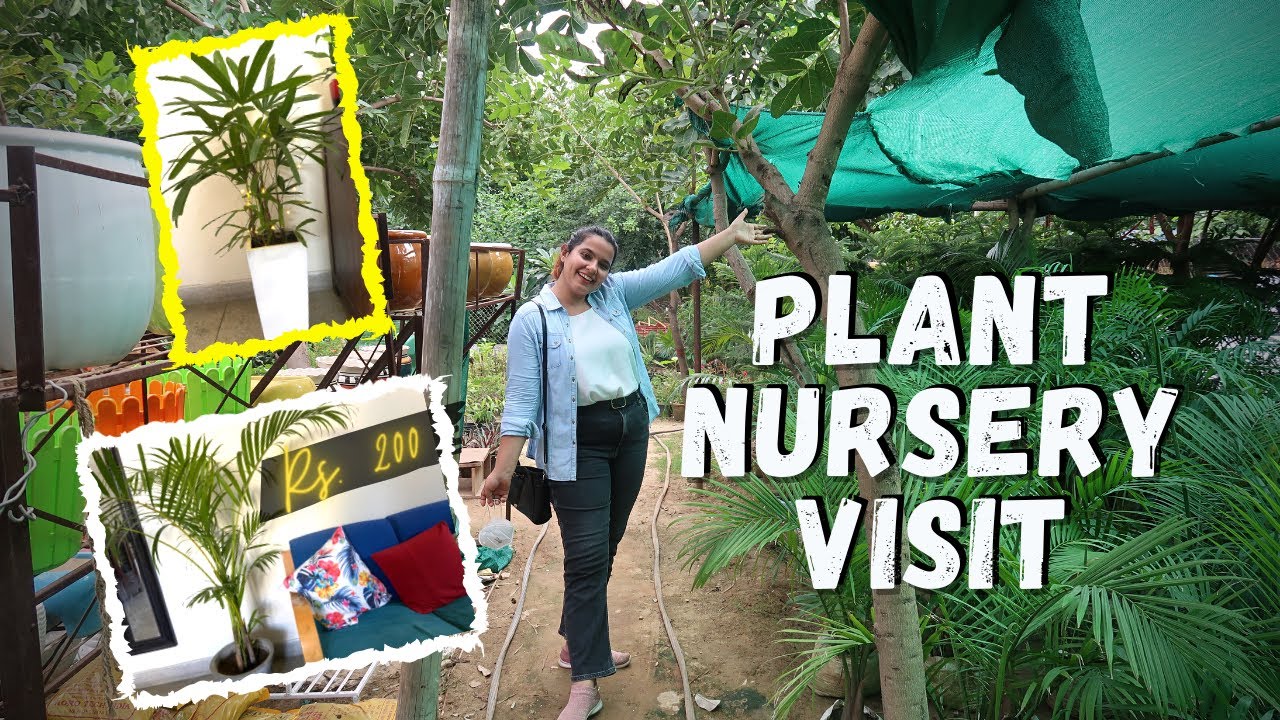 Nursery Visit in Gurgaon + Plant Collection at Home | Bought Areca Palm Plant for Rs. 200
