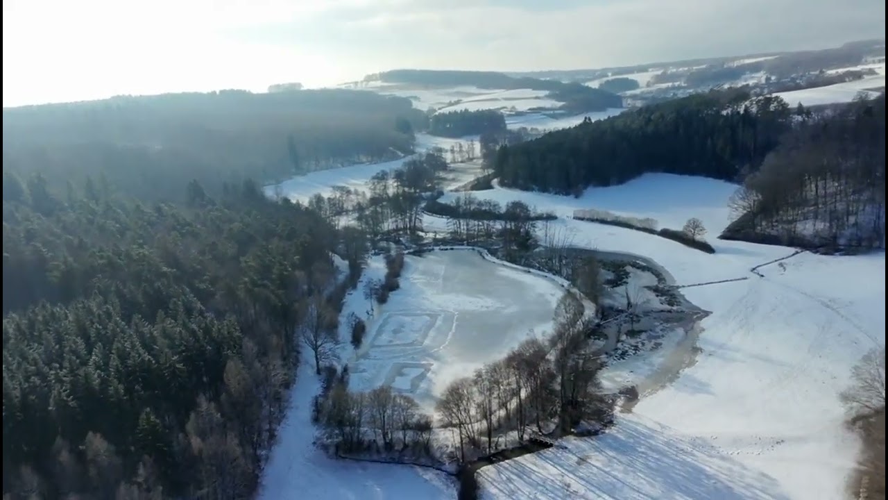 Nature & Winter