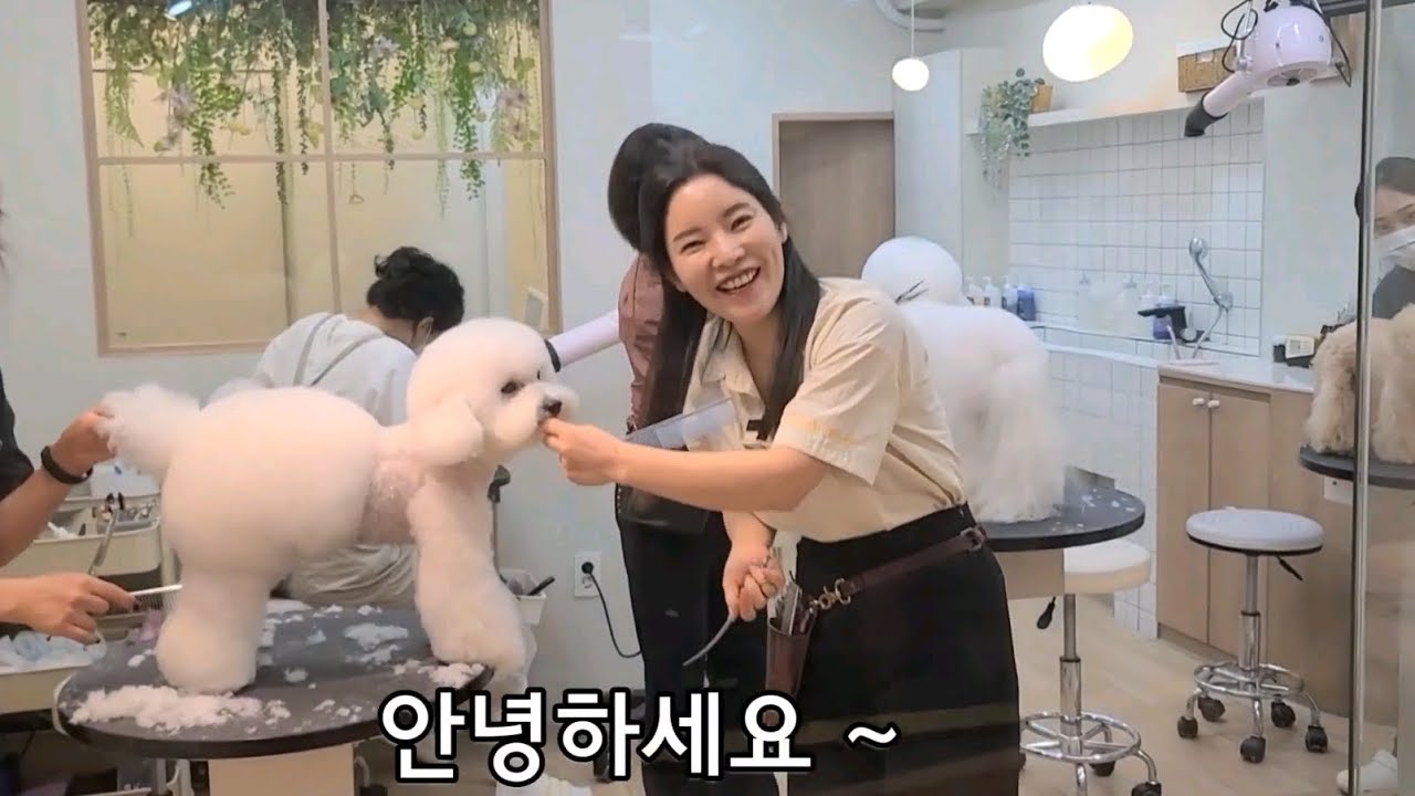[애니살롱×최덕황TV ] 다른채널에서 애니살롱에 촬영하러왔어요👏