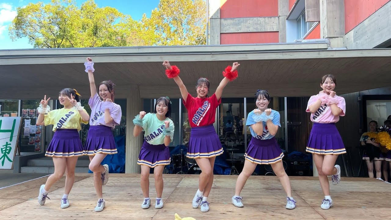 2025.11.3   KOALAS Dance Show!!💎🎀🍀【南山大学応援団チアリーダー部KOALAS】　