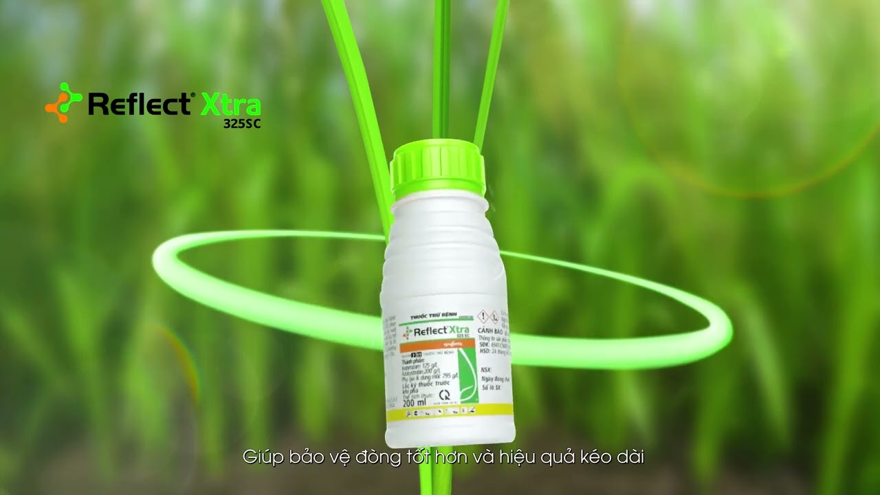 Reflect&reg;Xtra 325SC 2023: Trổ Tho&aacute;t Đồng Loạt