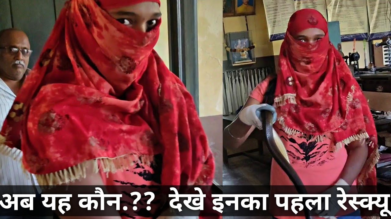 हमारी नई टीम मेंबर.. देखे इनका पहला साँप रेस्क्यू. Snake rescued by P. Jyodi..