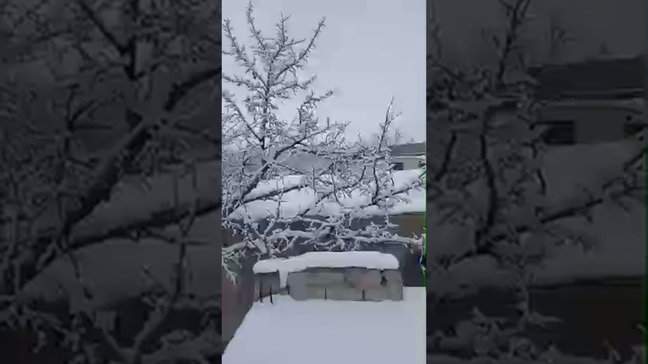 Beauty of Mother Earth is live!