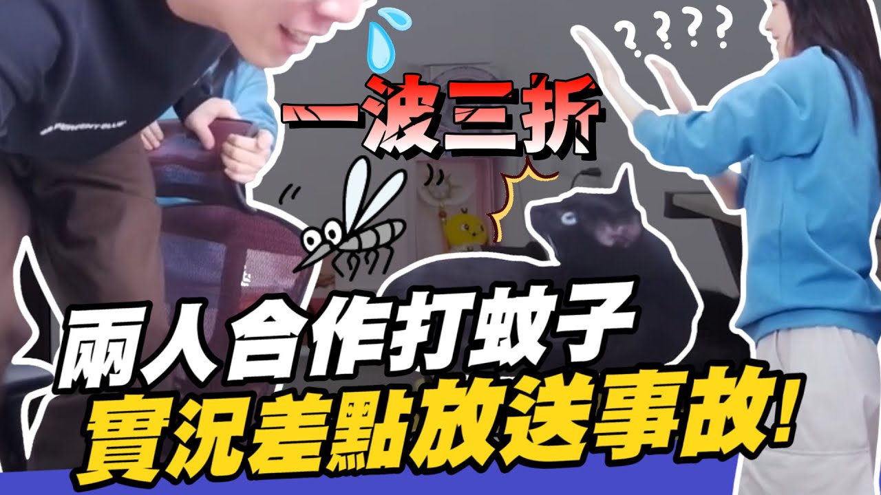 【小熊】兩人合作打蚊子，實況差點放送事故！！｜小熊實況精華