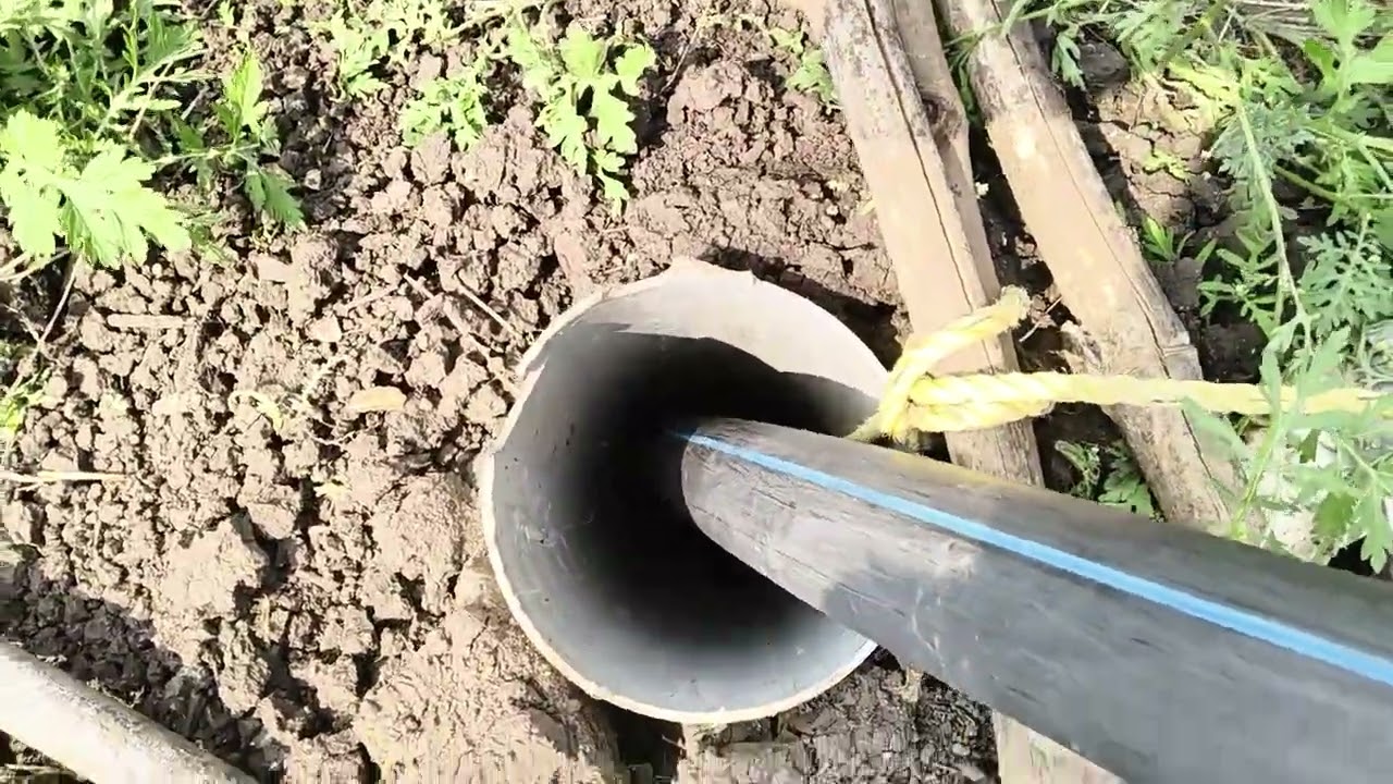 Eco zen solar pump कोणीही सिलेक्ट करू नये सगळ्यात फालतू कंपनी