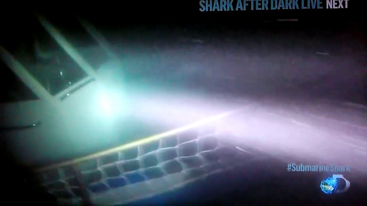Submarine Shark attack caught on Video