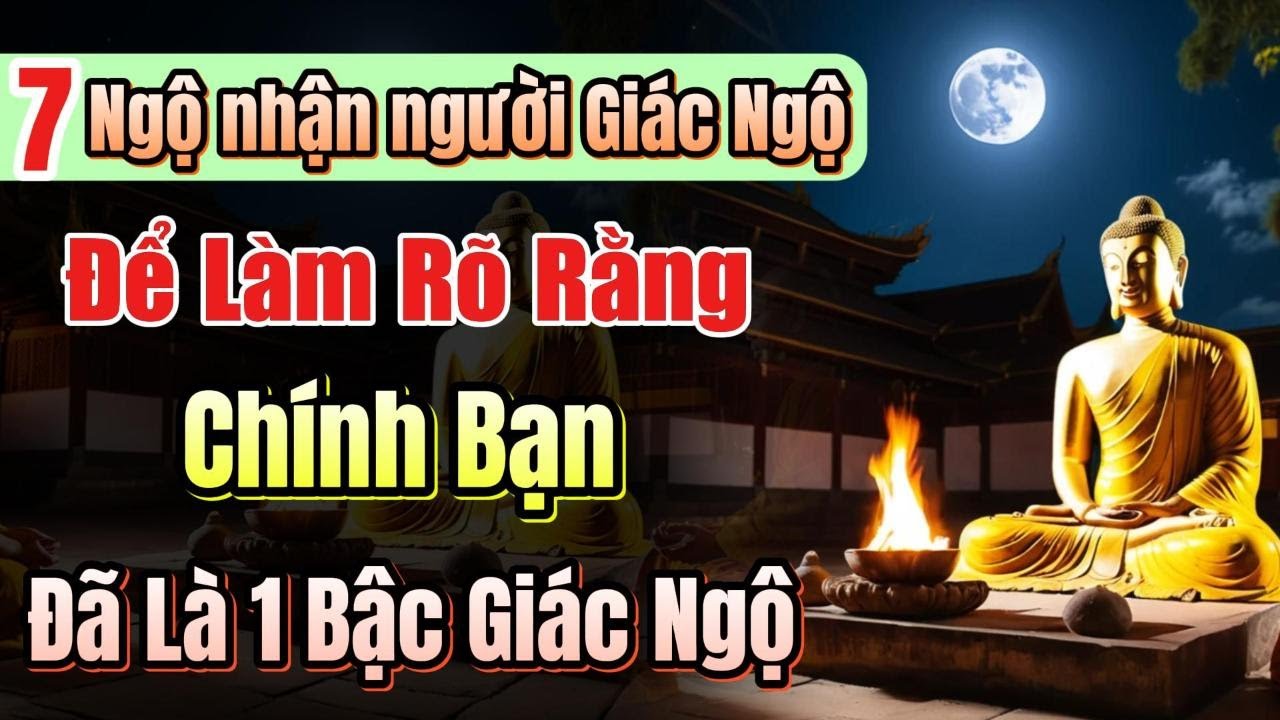 Có 1 trong 7 dấu hiệu này, xin chúc mừng, bạn đang dần là 1 bậc Giác Ngộ | Quán Trà Đời