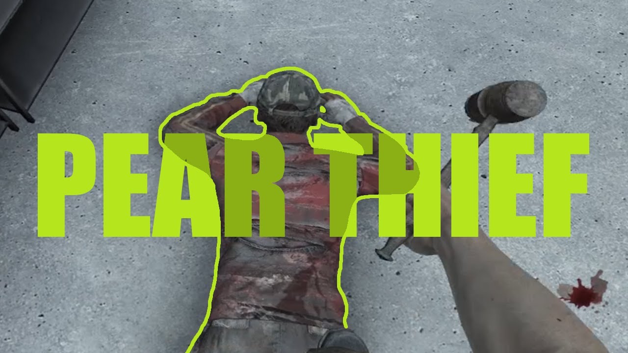 Killing Pear Thieves In Dayz