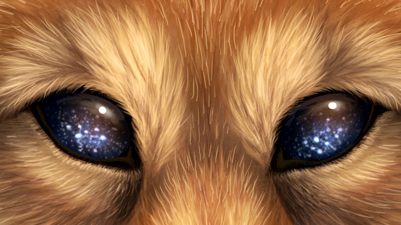 Star Catcher - Speedpaint