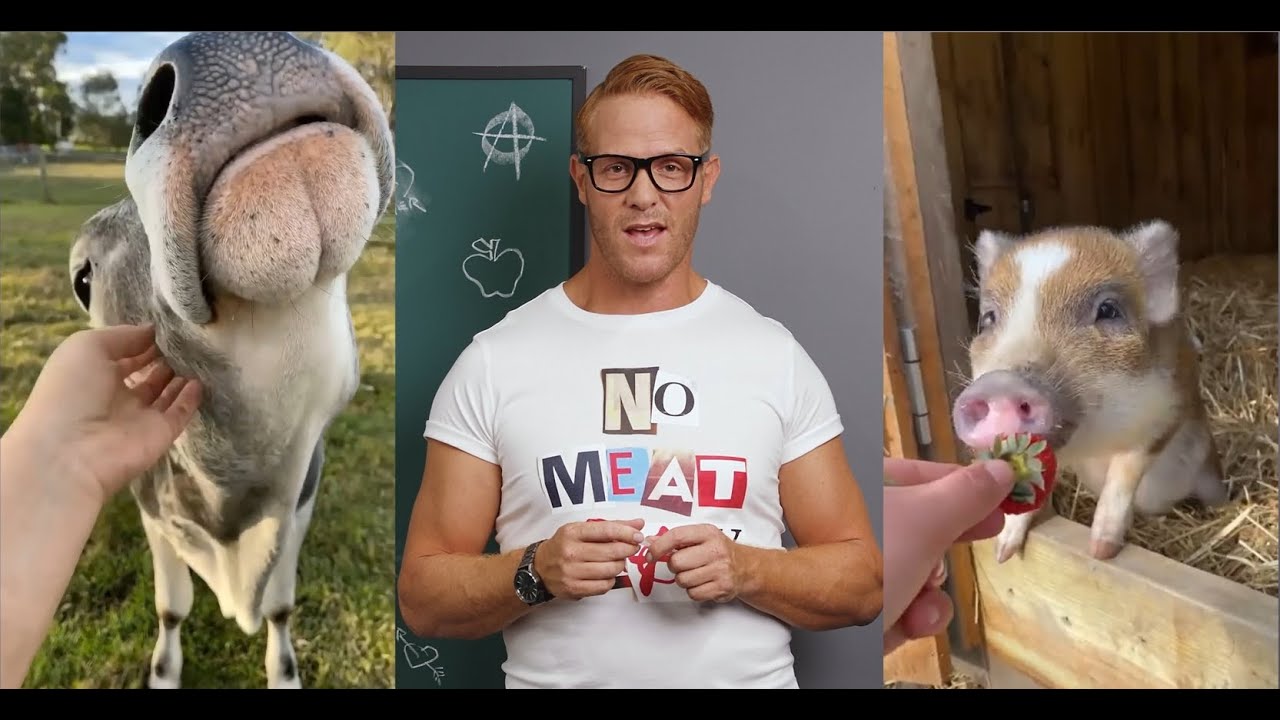 No Meat May Grown-up School for Clever Number Learning!