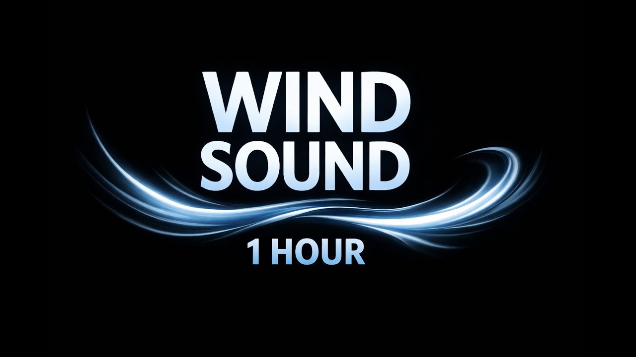 Strong Wind Sound on Black Screen 🌬️ 1 Hour Wind Noise for Deep Sleep, Relaxation & Stress Relief