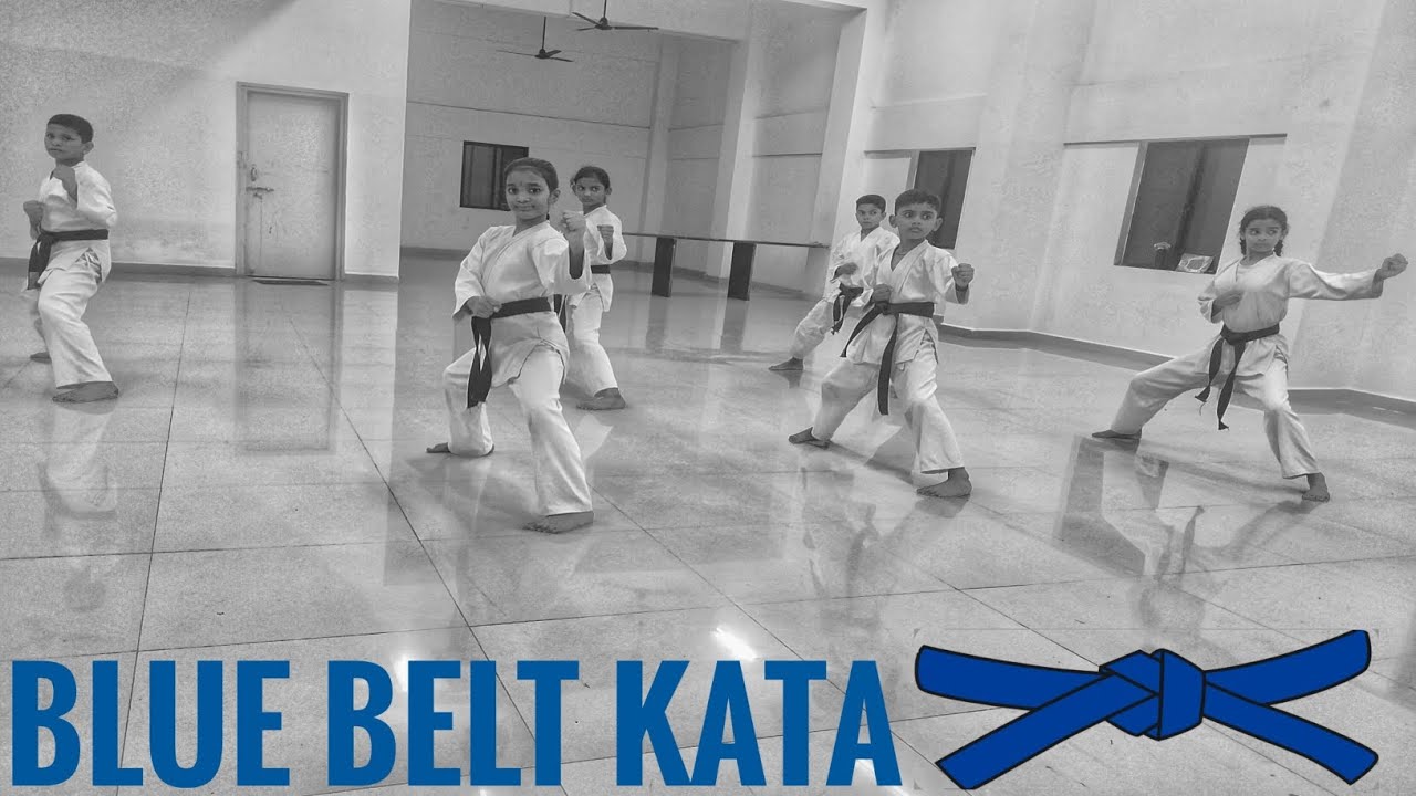 || BLUE BELT KATA || SUGOVASA || SHITO RYU STYLE KATA || POWERFUL KATA 🔥 ||