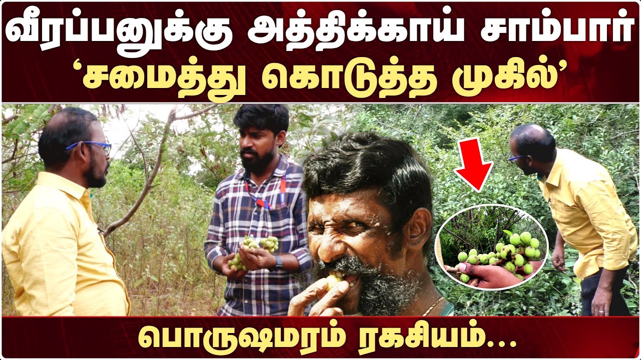 அத்திக்காய் சாம்பார் Veerappan விரும்பி சாப்பிடுவார்.. கருப்புனு கூப்பிடுவாரு.. | Mugil Veerappan