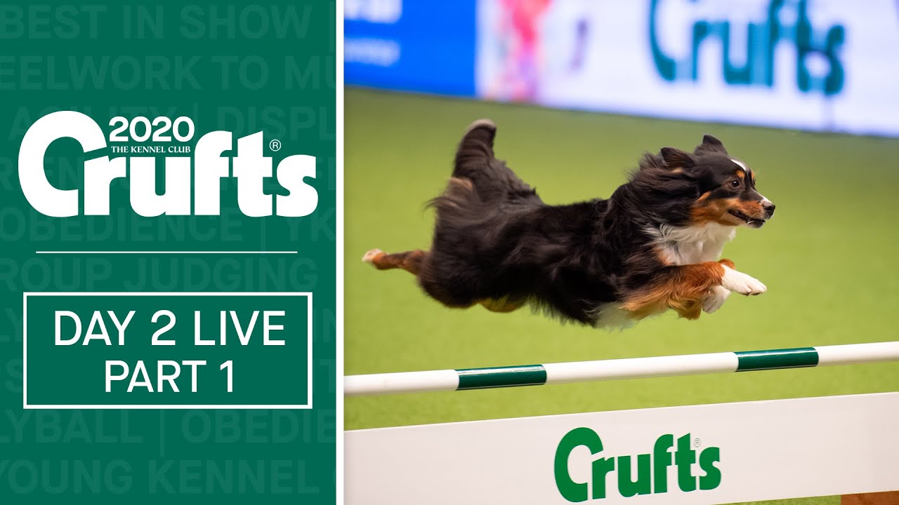Crufts 2020 Day 2 Live - Part 1