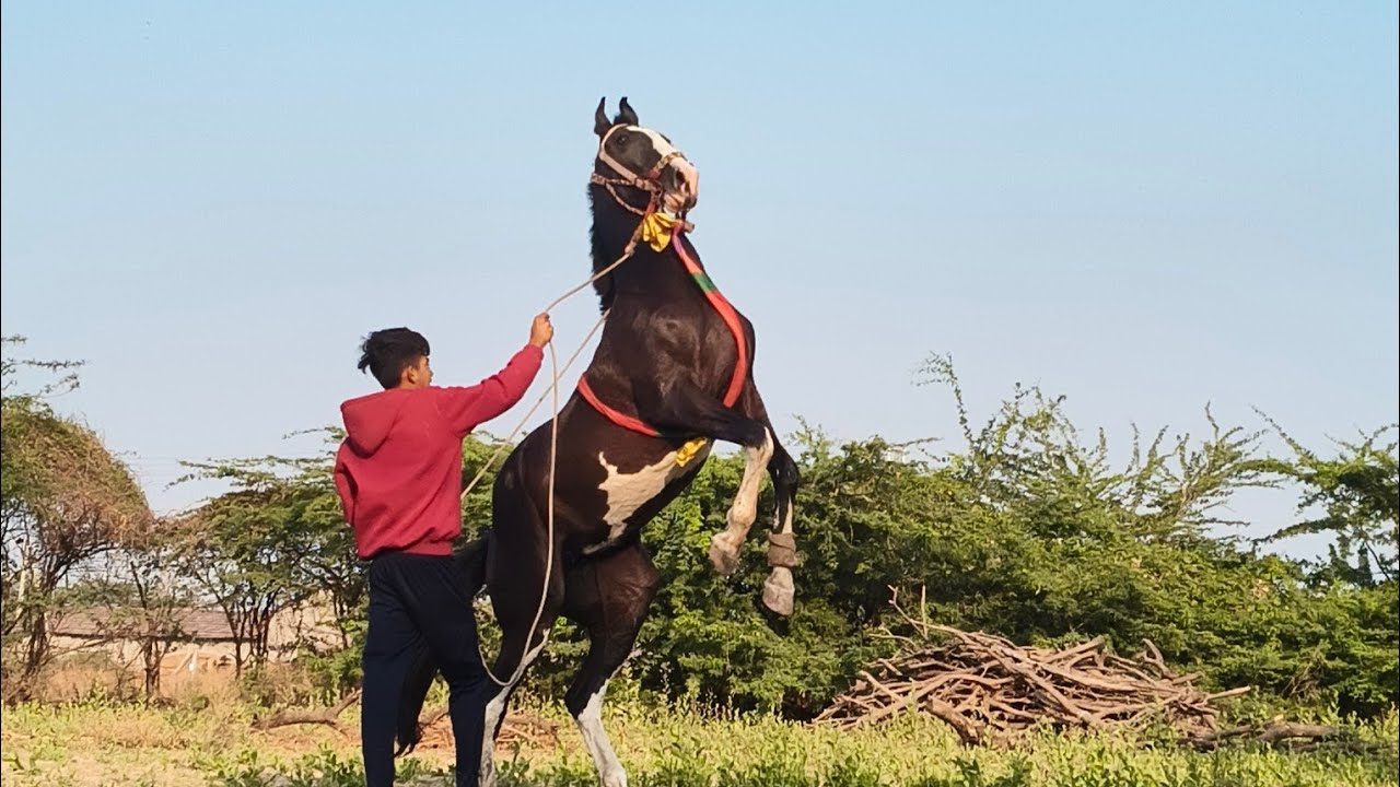 #aaj aapne abhira ni riding kari