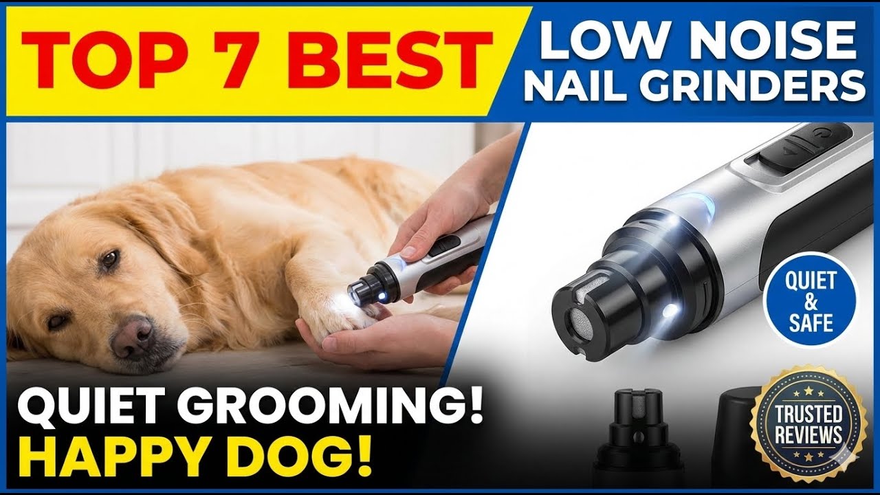 Top 7 Best Dog Nail Grinder Low Noise Review Guide 2026 Latest Update (Exclusive) Must See Now