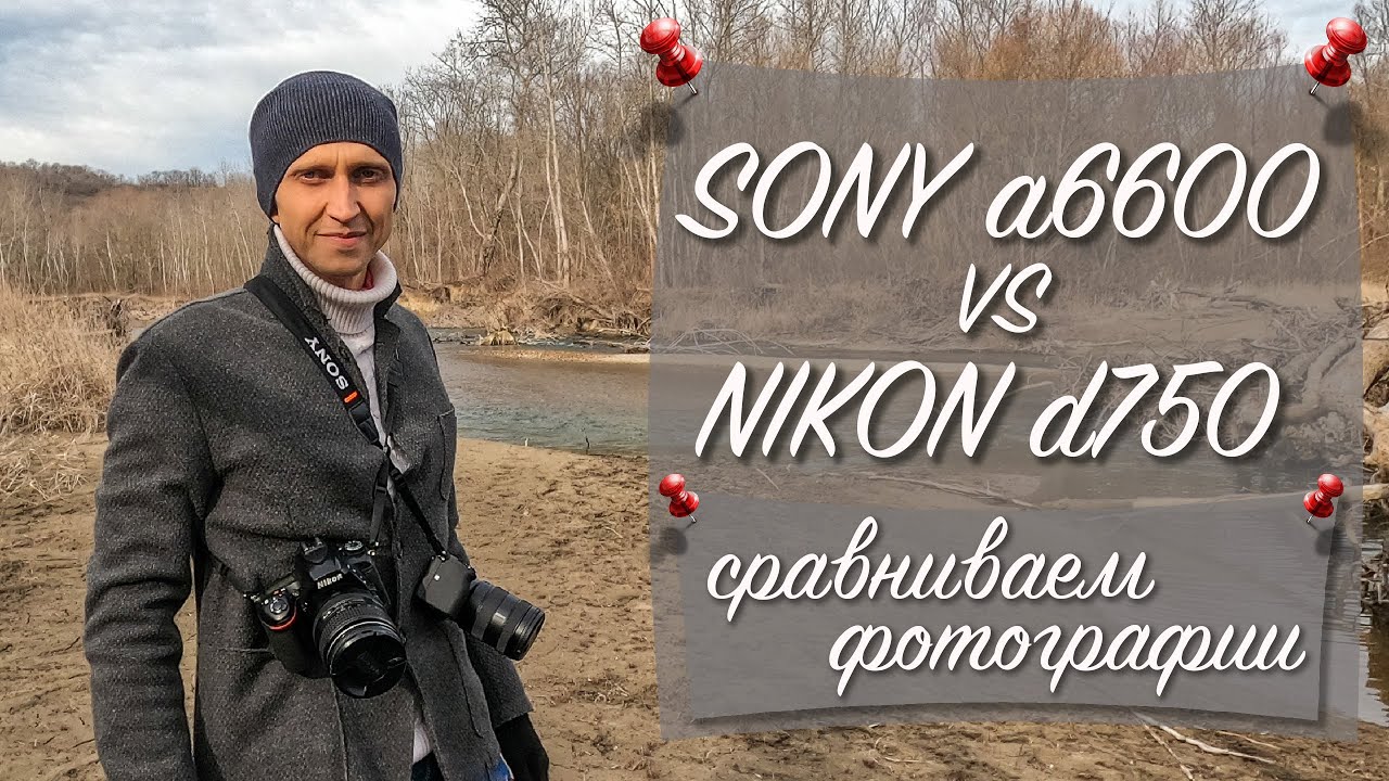 Sony a6600 vs Nikon d750 | Сравниваем фотографии