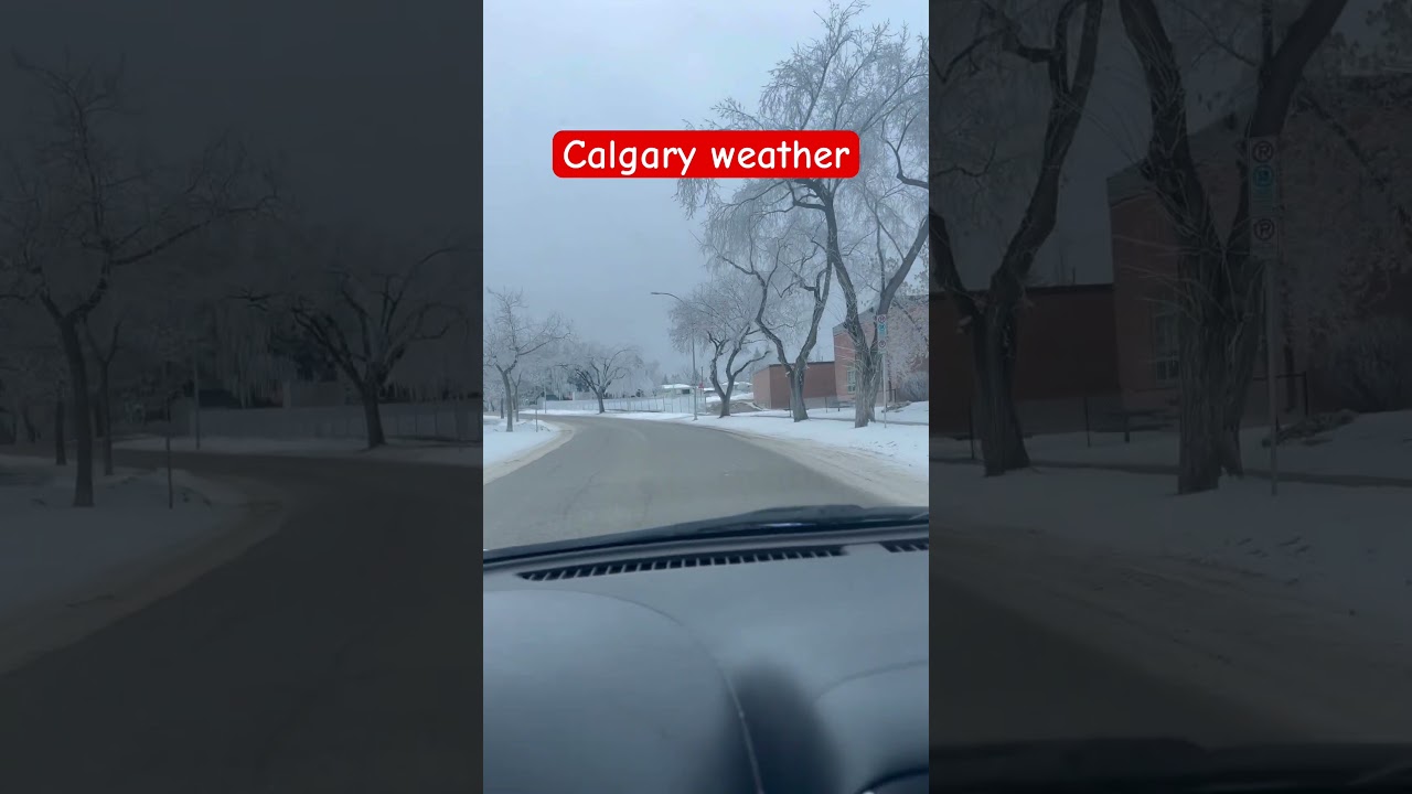 Winter in Calgary