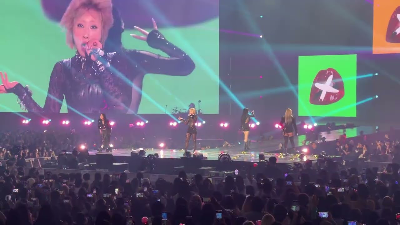 250412 2EN1 앵콜 콘서트 | I Don't Care | WELCOME BACK | 1층 6구역
